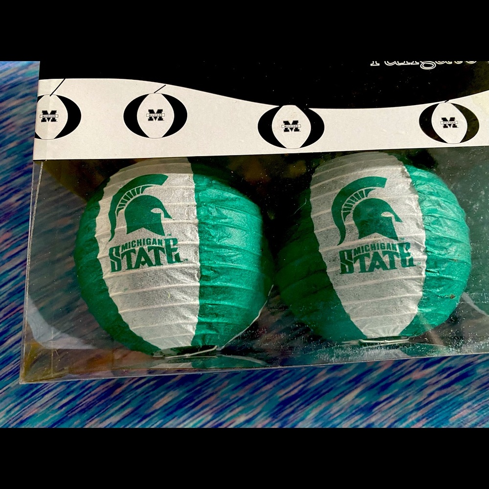 Michigan State tailgate stringer - Picture 2 of 3